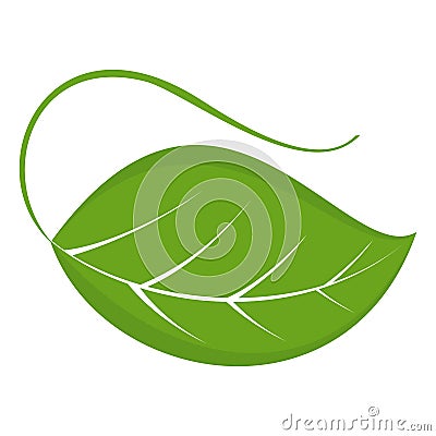 Gree leaf icon Vector Illustration