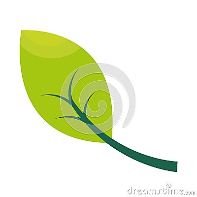 gree leaf nature Vector Illustration