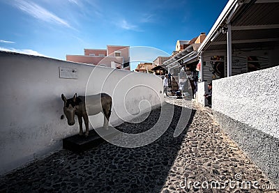 Greece, Santorini - September 2018. Donkey on the street. Streets of the white city of Santorini island Stock Photo