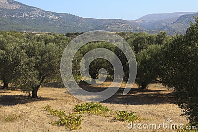 Greece Editorial Stock Photo