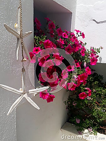 Greek decoration with flowers and seastars Stock Photo