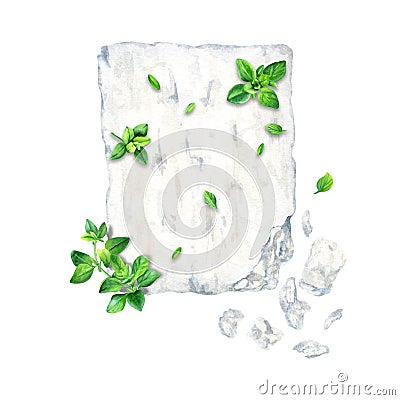 Greek feta cheese block and thyme herb composition. Watercolor illustration isolated on a white background Cartoon Illustration