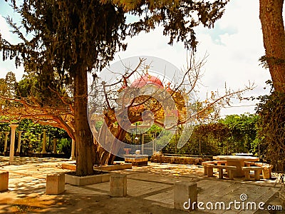 The Greek Orthodox Church of the Twelve Apostles in Capernaum by Stock Photo