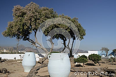 Greek pitchers in landscape design Stock Photo