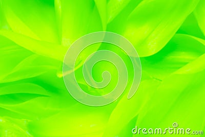 Green abstract background Stock Photo