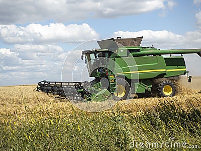 Green Agricultural field on the Harvester gathers the wheat. Agricultural machinery for harvesting. Concept of agriculture. Editorial Stock Photo