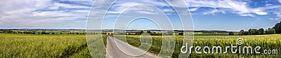 Green agricultural meadows with blue sky Stock Photo