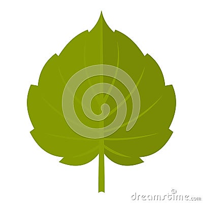 Green alder leaf icon isolated Vector Illustration