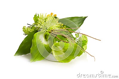 Green Alepes kalla bouquet Stock Photo