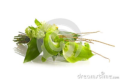 Green Alepes kalla bouquet Stock Photo