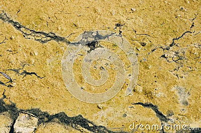 Green algal bloom in water. Surface cracks from fluid flow. Sludge. No person Stock Photo