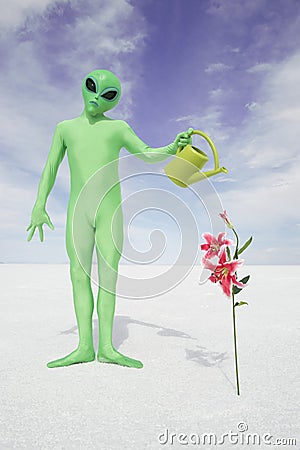 Green Alien Waters Delicate Flower Plant Growing in White Desert Stock Photo