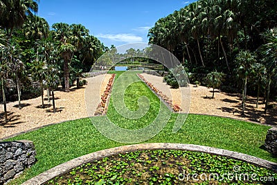 Green alley management at Fairchild botanical garden Editorial Stock Photo