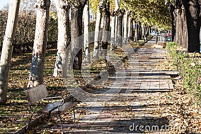 Green alley,path in the park getafe,madrid Stock Photo