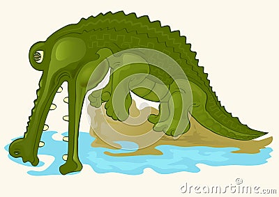 Green alligator Vector Illustration