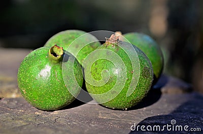 Green American genipa on tree trunk table Stock Photo