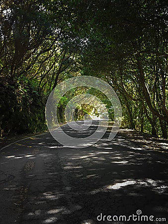 Green Anaga Mountains. Light and Shadow. Hiking on Tenerife. Stock Photo