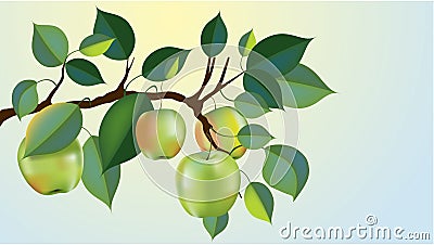 Green apple branch Vector Illustration