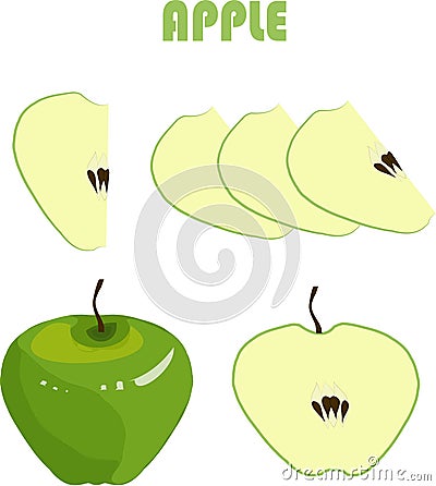 Green apple, brown roots, slices on white background, hand drawing, painting Vector Illustration