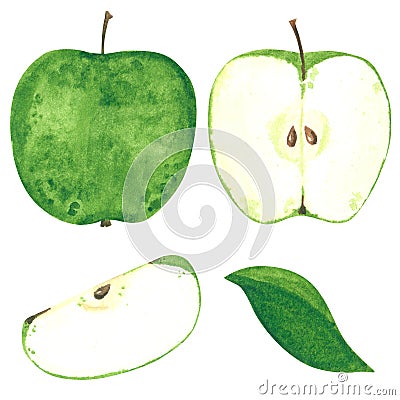Green apple clipart set. Hand drawn watercolor illustration Cartoon Illustration