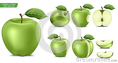 Green Apple Fruit Ripe Realistic 3D Food Vector Set. Whole Half and Sliced Version Vector Illustration