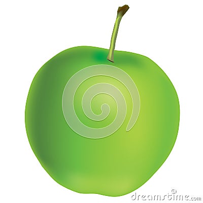 Realistic green apple - graphic vector Vector Illustration