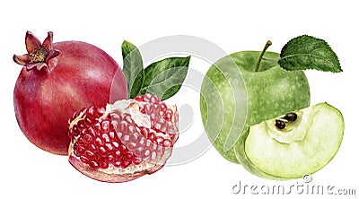 Green apple pomegranate watercolor illustration isolated on white background Cartoon Illustration