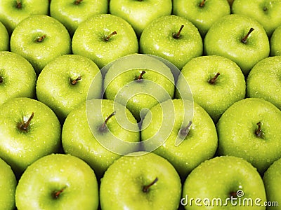 Green apples Stock Photo