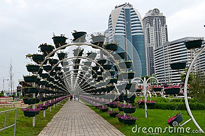 Green arch in the Flower Park of the city of Grozny, Chechnya, Russia. Building of the complex Grozny City in the background Stock Photo