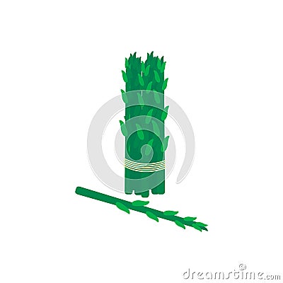 Green asparagust in flat style isolated Vector Illustration