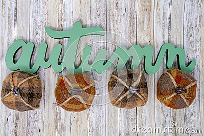 Green Autumn text phrase with four decorative plaid pumpkins. Stock Photo