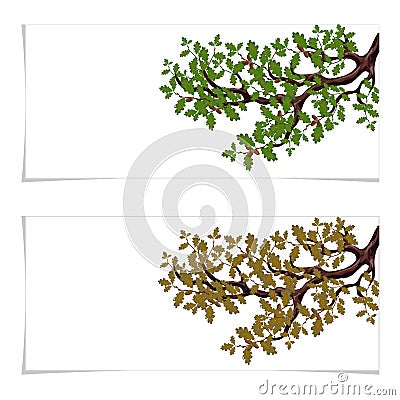 Green and autumn, a yellowed branch of a large oak tree with acorns. Flyer, invitation card or business card. Isolated Vector Illustration