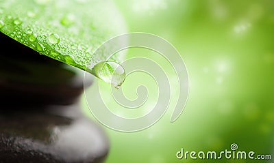Green background spa. leaf and water drop Stock Photo