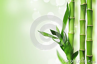 Green bamboo background Stock Photo