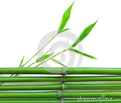 Green bamboo bouquet green twigs nature view of natural green abstract leaf plants on white Stock Photo