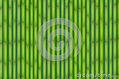 Green Bamboo texture Vector Illustration