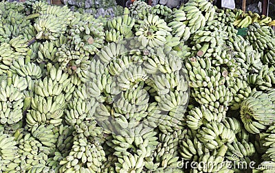 The green banana in Thailand Stock Photo