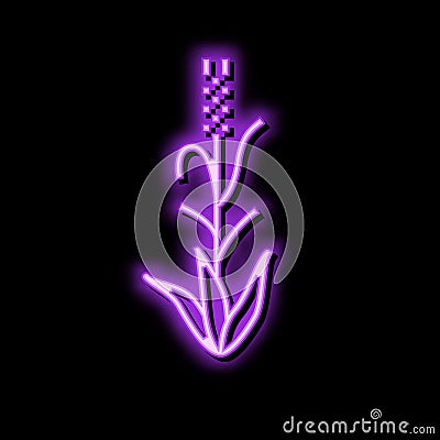 green barley plant neon glow icon illustration Vector Illustration