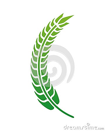 Green barley wheat spike nature icon Vector Illustration