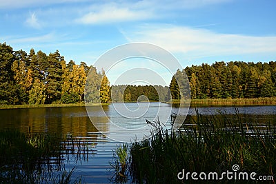 Green bay on the lake in the forest Stock Photo