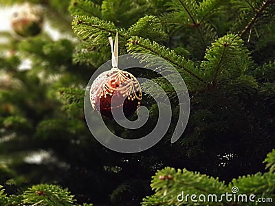 Green beautiful Christmas tree with a beautiful burgundy Christmas ball Stock Photo