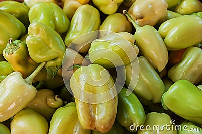 Green bell peppers on a counter in the supermarket. A large number of green peppers in a pile Stock Photo