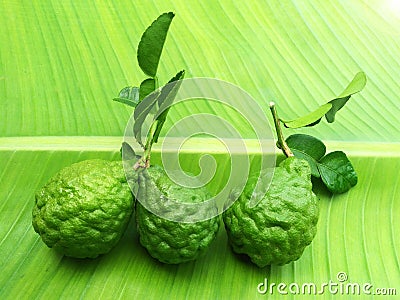 Green bergamot balls with leaves Stock Photo