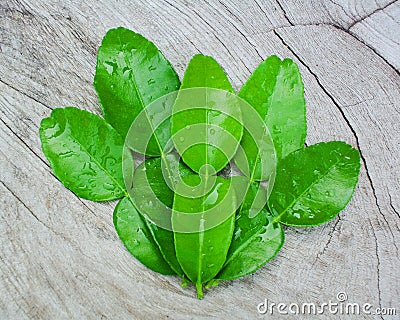 Green bergamot leaf on wood, Bergamot leaf, part of hot and sour soup.herb for hair Stock Photo