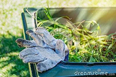 Green bin container filled with garden waste. Dirty gardening gloves. Spring clean up in the garden. Recycling garbage for a Stock Photo