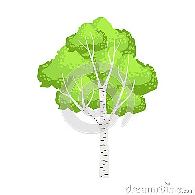 Green birch tree. Colorful cartoon vector Illustration Vector Illustration