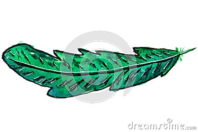 Feather green on whire background Stock Photo