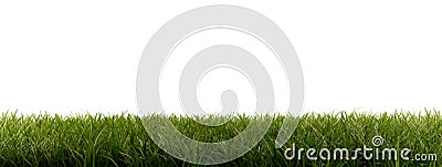 Green blades of grass 3d-illustration isolated on white Cartoon Illustration