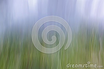 Green blue gradient abstract background Stock Photo