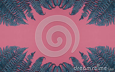 Green and blue leaves on pink background. Long banner photo. Header format. Stock Photo